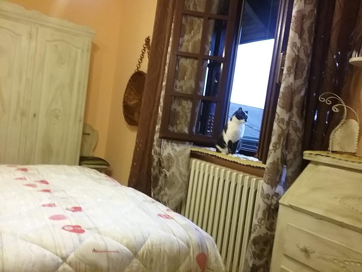 San Giusto Canavese B&B La Gerbolina מראה חיצוני תמונה