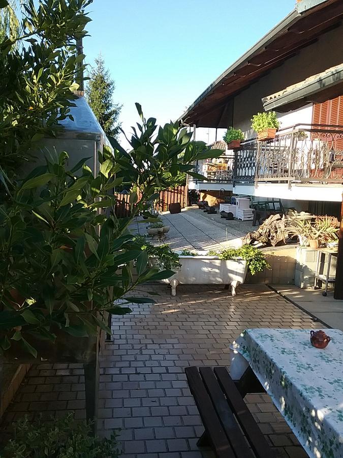 San Giusto Canavese B&B La Gerbolina מראה חיצוני תמונה